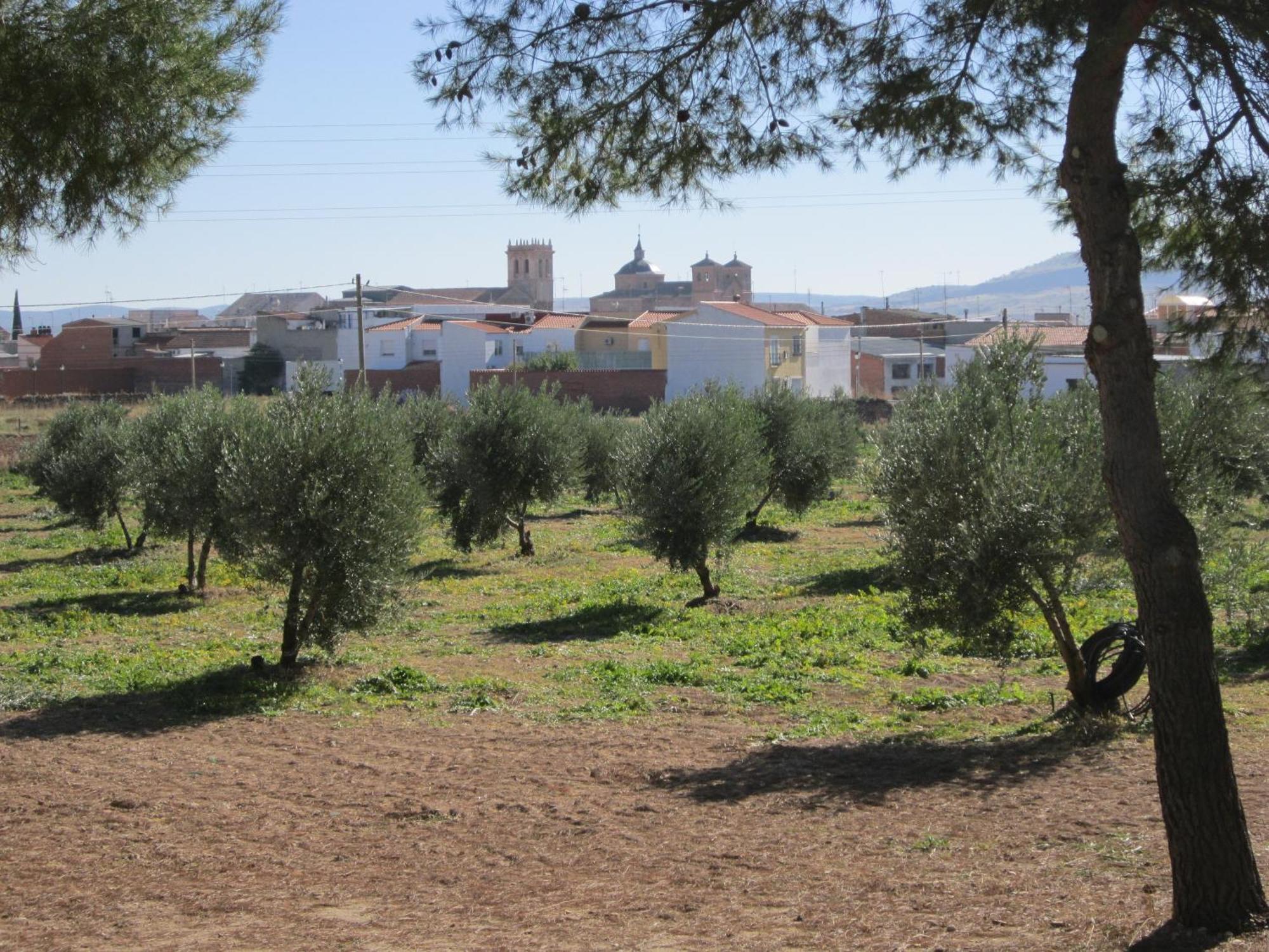 Apartamentos Rurales Las Caleras Almagro Exterior photo